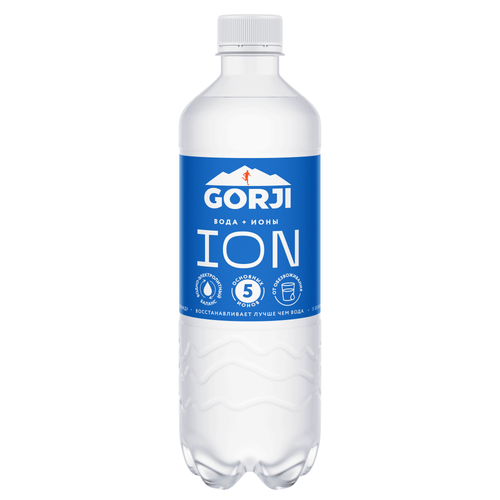 GORJI Горджи ION 0,5 л, упаковка 12 шт