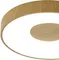 Потолочный светильник Coin 7568 Mantra