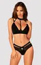 Brasica bra
