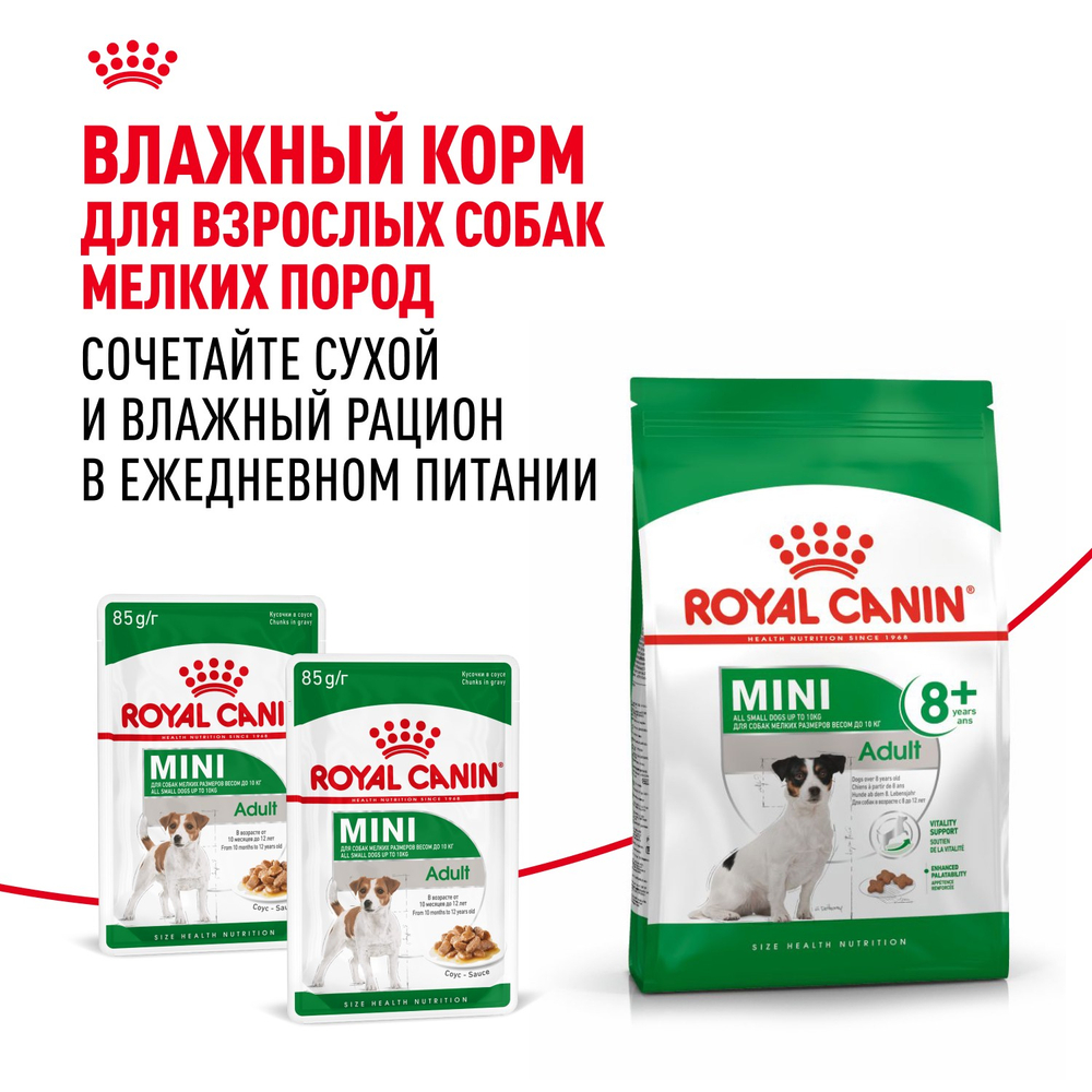 Royal Canin Mini Adult 8+ Мини Эдалт Корм сухой для взрослых собак мелких пород старше 8 лет 4кг