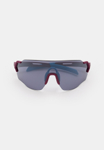 Спортивные очки HILX Savage (L) / Matt Purple Blue / Silver Lens