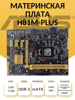 S-1150 Материнская плата Asus H81M-PLUS