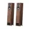 PMC Twenty5.23 Walnut