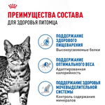 Корм влажный для стерилизованных кошек живущих в помещении кусочки в желе, 85г Royal Canin Indoor Sterilised