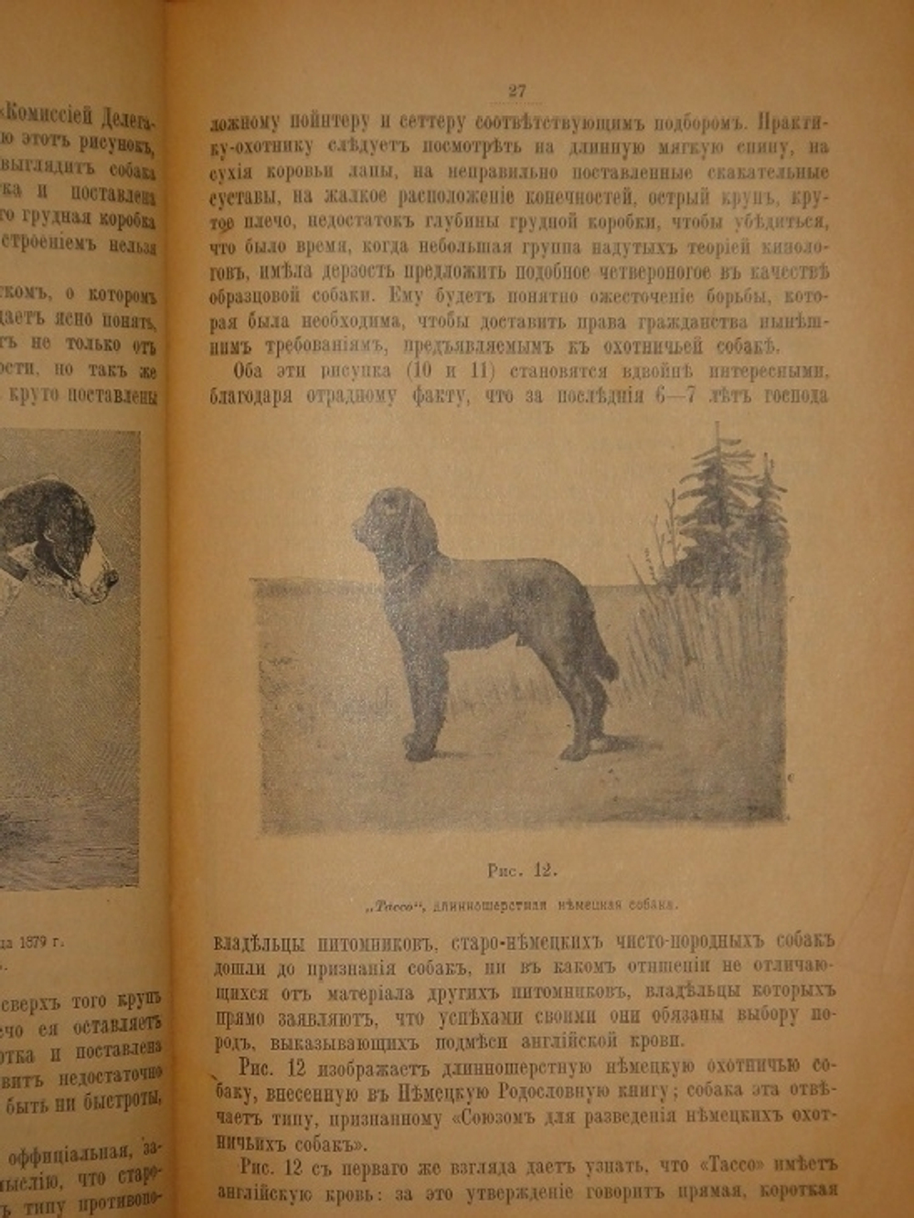 "Дрессировка и натаска подружейных собак". Г.Оберлендер. 1910г.