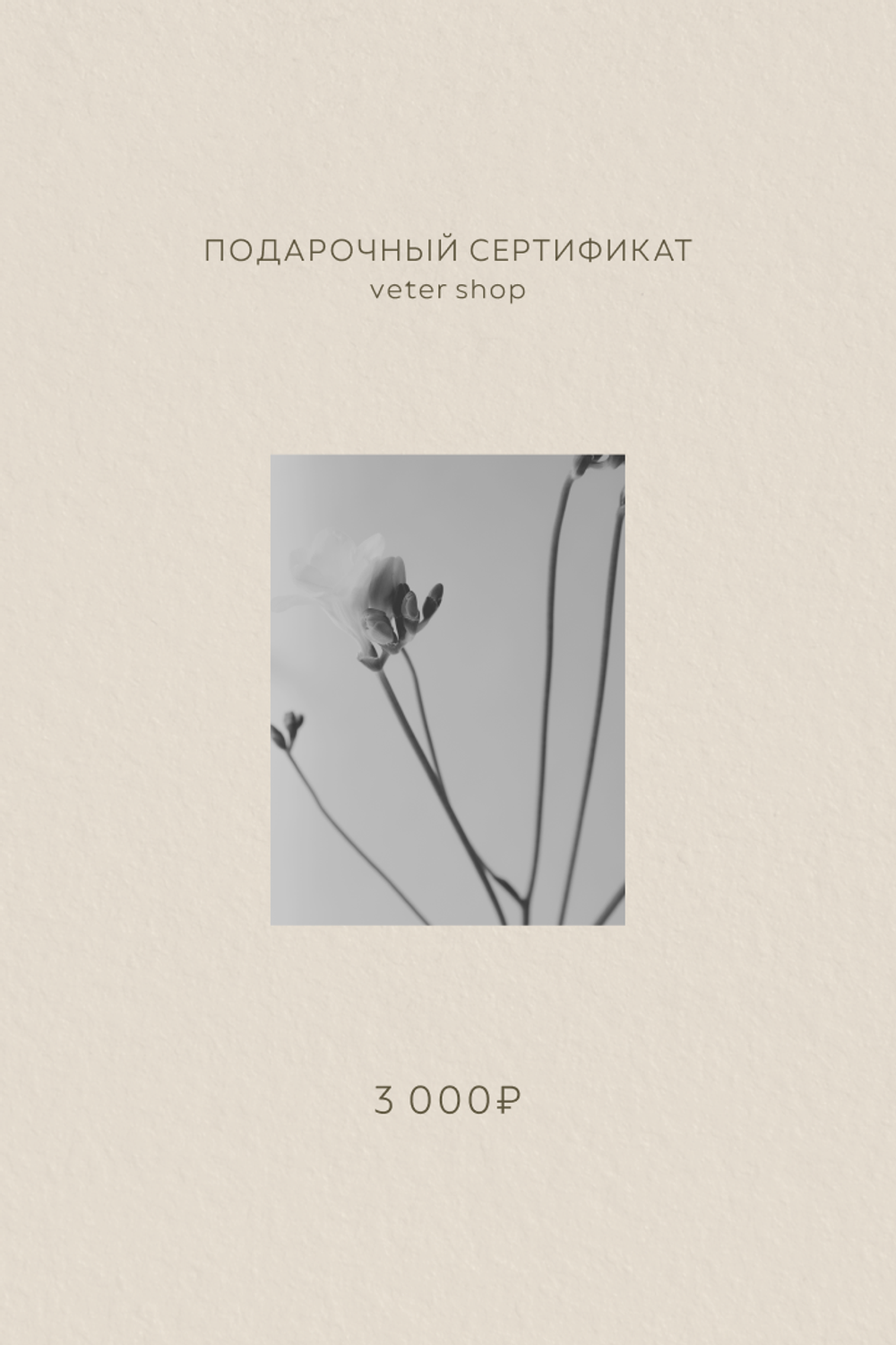 Подарочный сертификат на 3,000 рублей