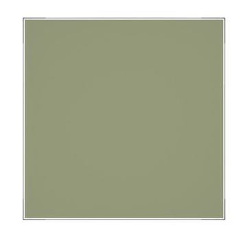 Панель AEON D100/125 179х179 стекло матовое Pale green бледно-зеленое DICITI