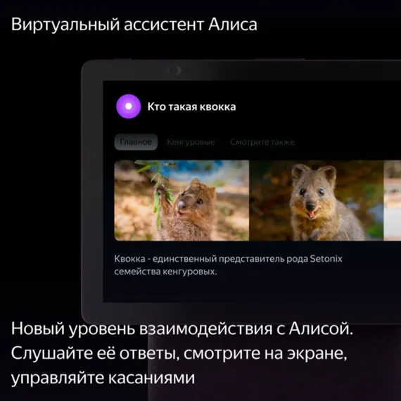 Яндекс Дуо Макс с Zigbee Green