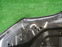 DSCN5600.jpg