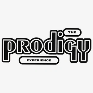 Винил PRODIGY Experience