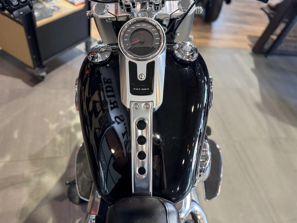 Harley-Davidson Fat Boy, 2019 с НДС