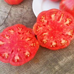 Помидоры Джаз - Jazz Tomato