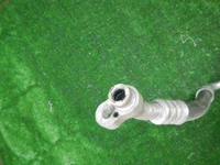 DSCN8670.JPG