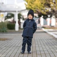 Брюки Softshell демисезонные "Гроза"