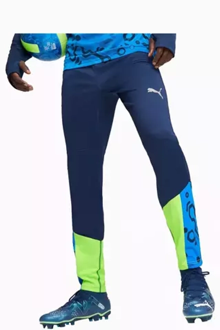 Штаны Puma individualCUP Training