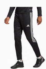 Штаны adidas Tiro 23 Club Training