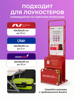 Набор Xs/L ручная кладь и большой Салатовый