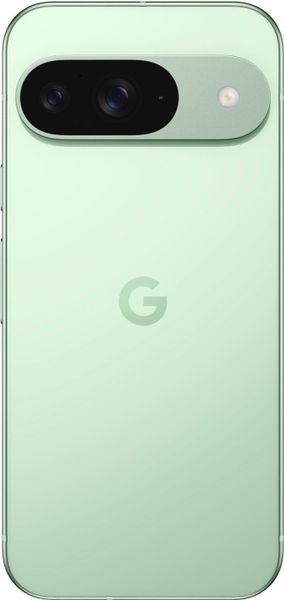 Смартфон Google Pixel 9 12/256 ГБ Зеленый | Wintergreen (USA, Global)