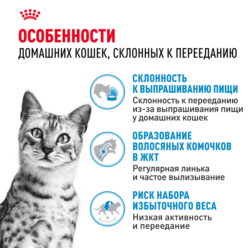 Royal Canin Indoor Appetite Control Индор Аппетайт Контрол Корм сухой для кошек живущих в помещении склонных к перееданию от 1 года до 7 лет 400г