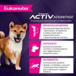 Сухой корм Eukanuba Puppy для щенков мелких и средних пород до 12 месяцев с ягненком 800 г
