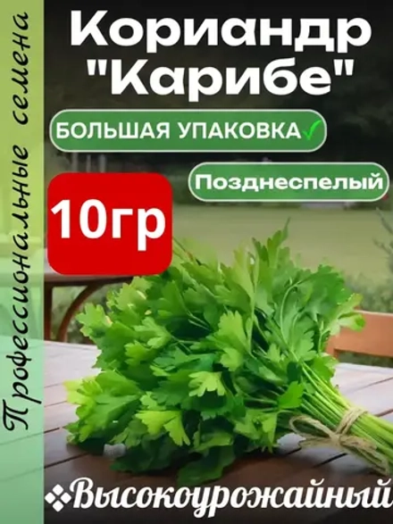 Семена Кориандр (кинза) Карибе10 гр