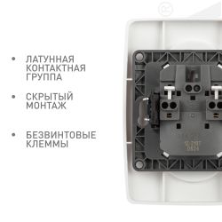 Розетка ЭРА Серия 12 12-2107-01 двойная без заземления 2X2P 16A-250В IP20 белый | Эра 12