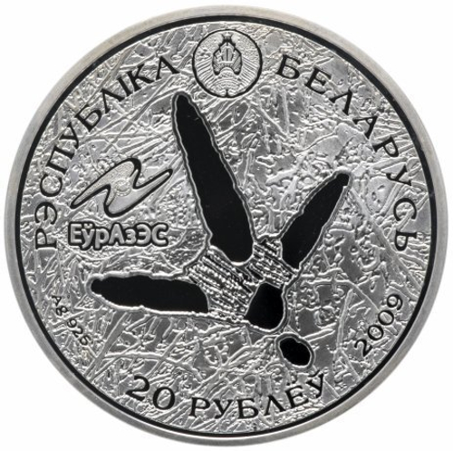 20 рублей. Белый аист Животный мир стран ЕврАзЭС. Беларусь. 2009 год. PROOF
