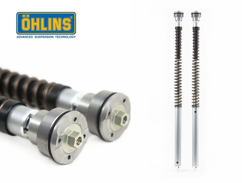 FGK 229 OHLINS FORK CARTRIDGE NIX30 SHOWA (Panigale)