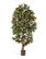 Комплект - Капенсия 150 см в кашпо TREEZ Effectory - Organic