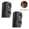 Perlisten Audio S4s Special Edition Ebony High Gloss