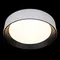 Потолочный светильник Coin 10202 WB Loft It