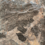 Гибкая керамика PHOMI, коллекция CROSSARD MUSHROOM STONE