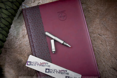 Ручка We Knife Syrinx TP-04B Gray Ti Pen