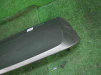 DSCN5391.JPG