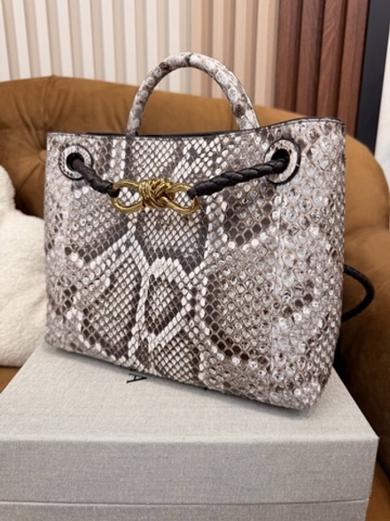 Клатч-Сумка Bottega Veneta Andiamo Small 26 из кожи Питона