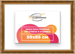 Рама 50x85 для картин и фотографий