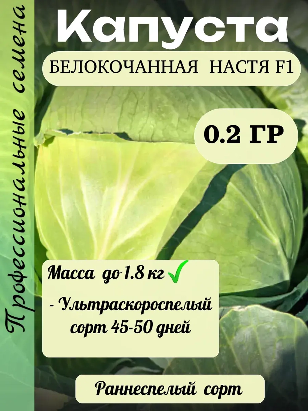 Семена капуста белокочанная Настя F1 0.2 гр