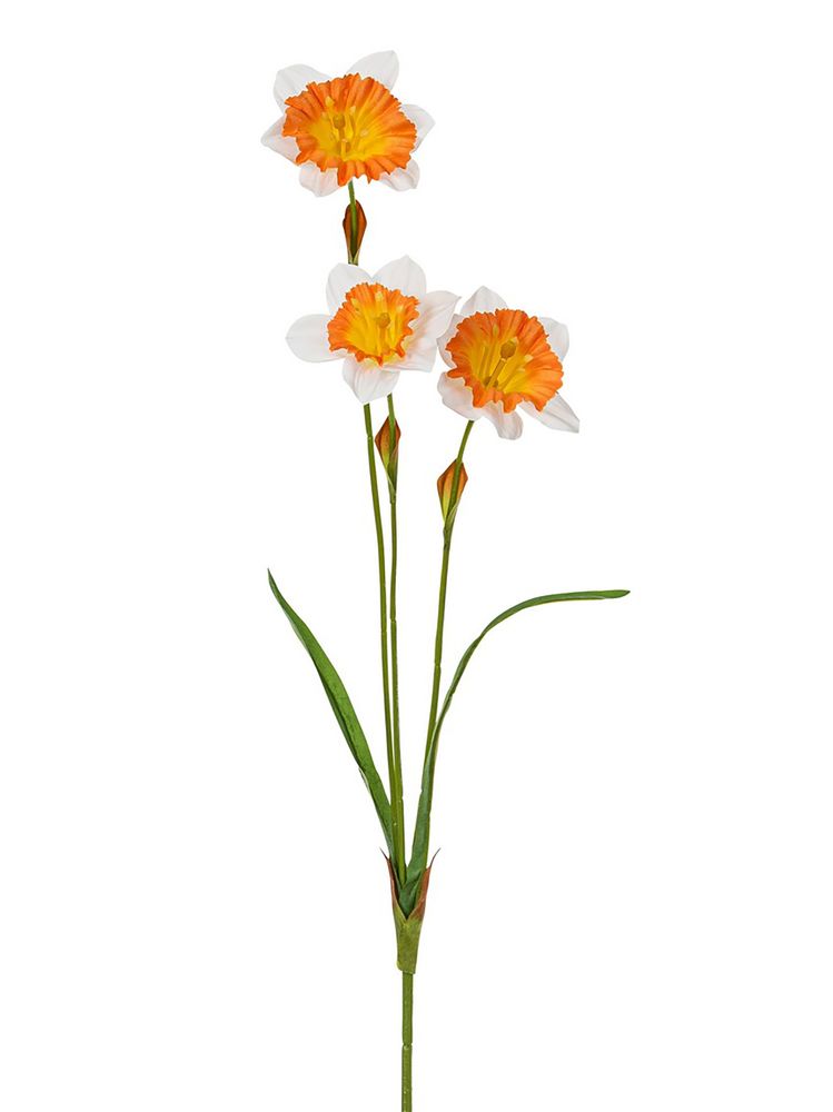Цветок декоративный Fiebiger Floristik: Нарцисс, 203715-102 Цветок декоративный Fiebiger Floristik: Нарцисс, 203715-102
