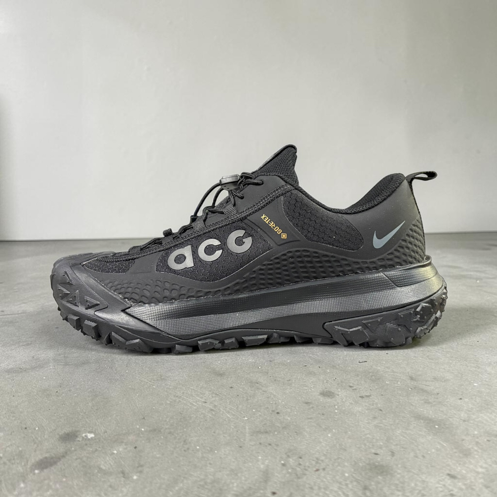Nike Acg Mountain Fly 2 Low  Gore-Tex • Black