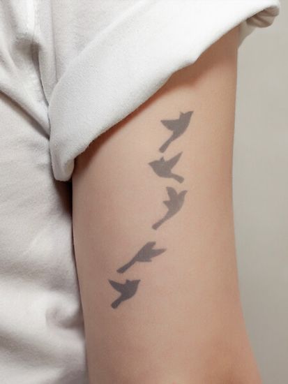 birds