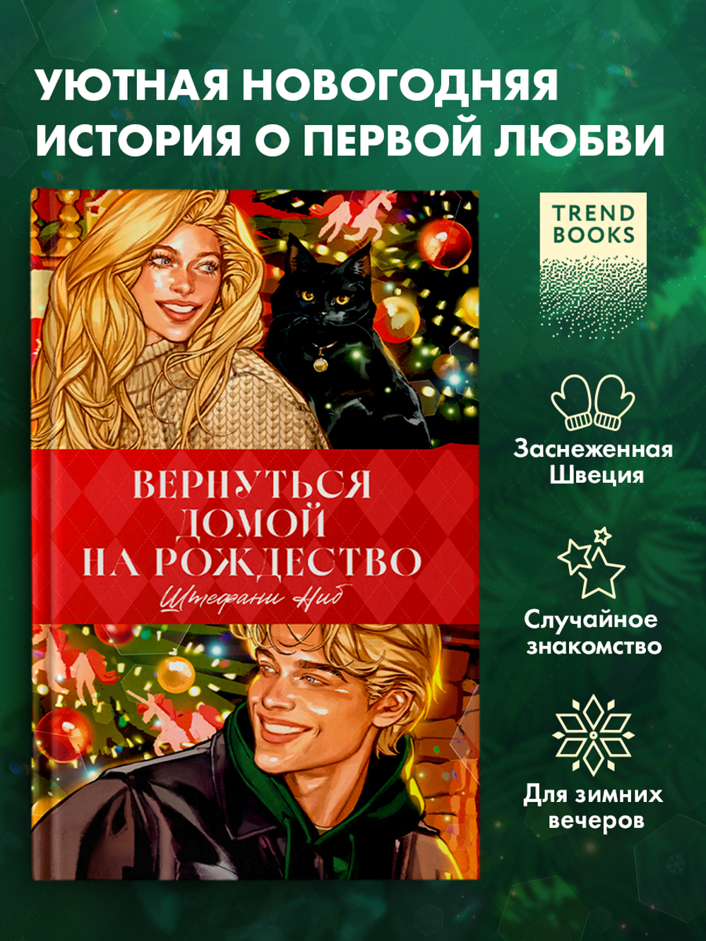 Вернуться домой на Рождество