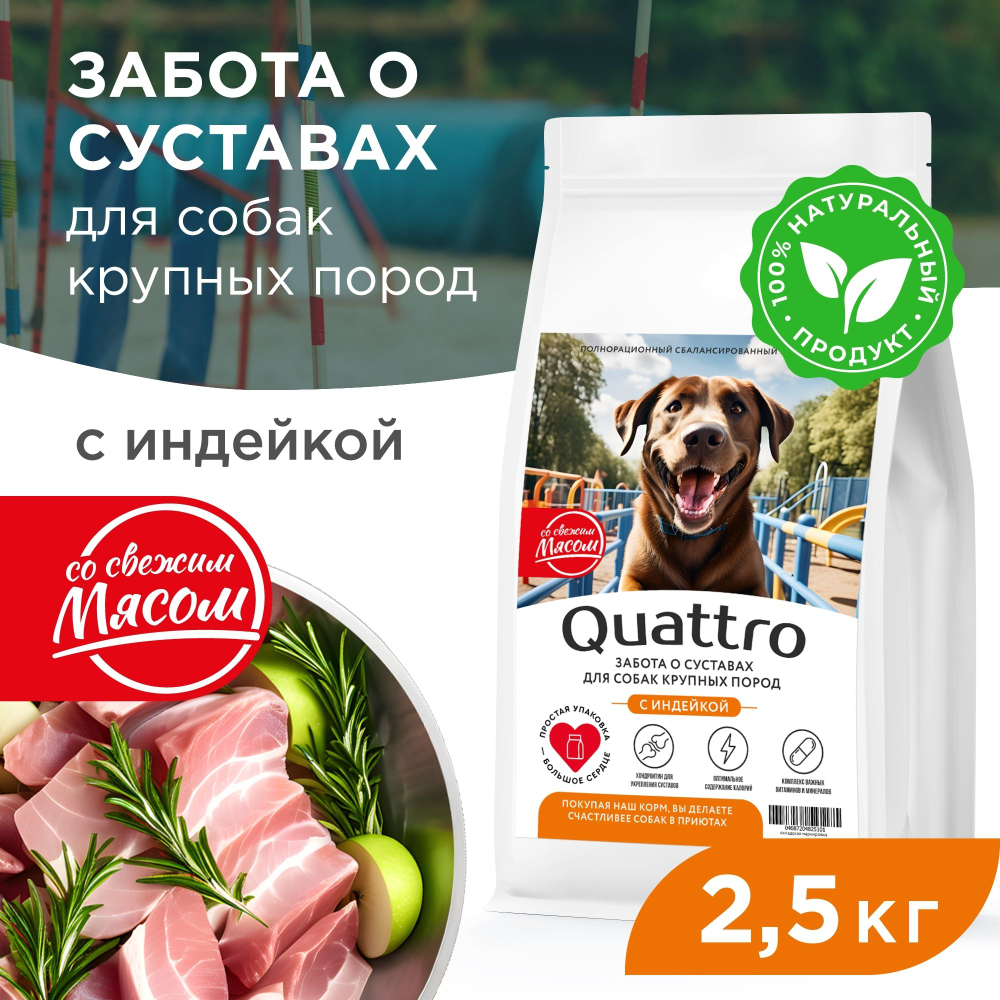 Корм сухой для взрослых собак крупных пород, премиум полнорационный комплекс, забота о суставах, с индейкой, 2,5 кг, QUATTRO