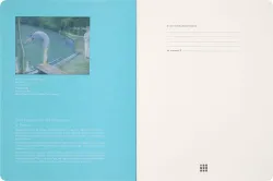 Блокнот Moleskine LE CAHIER MUSEE D`ORSAY XLarge 190х250мм 176 страниц (SKCAHXL6911S5NL)