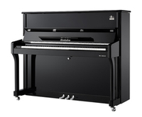 Wendl&Lung W120