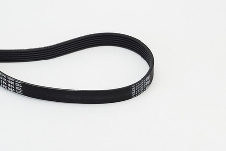 CONTINENTAL CTAM - 6PK1660