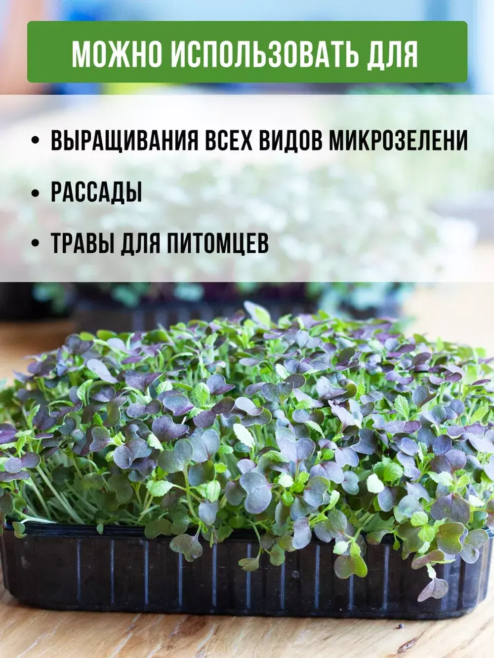 Лотки для выращивания микрозелени пластиковые 900 МЛ, 10 ШТ