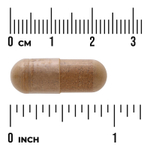 Swanson Vitamins, Full Spectrum®, корень одуванчика, 515 мг, 60 веганских капсул