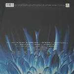 Rammstein ‎– Herzeleid 2LP (Европа 2017г.)