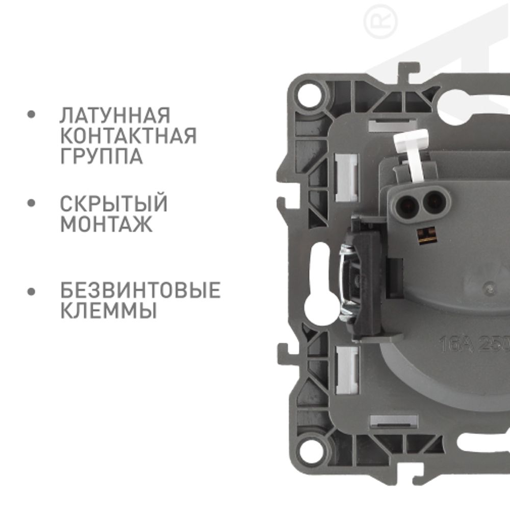 Розетка ЭРА Серия 12 12-2105-03 2P 16A-250В IP20 алюминий | Эра 12