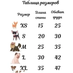 Кофта - свитер для мелких пород собак и кошек «BRO Style ♥», цвет красный, р XL